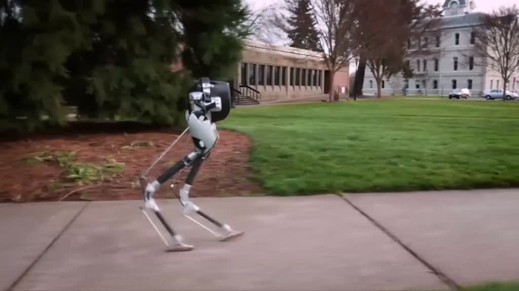 Two-legged Robot “Cassie” demonstrates complex locomotion