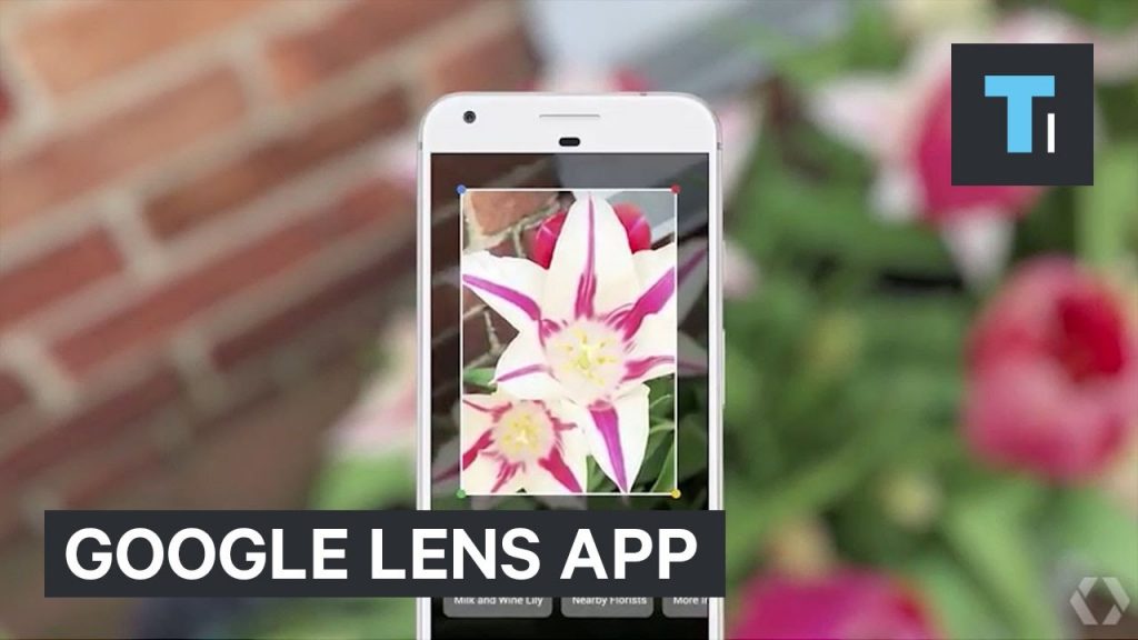 Google just showed off an Incredible Camera App that identifies Real-world Objects